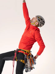 Dynasty