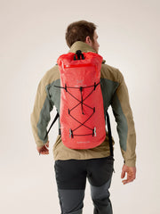 Dynasty