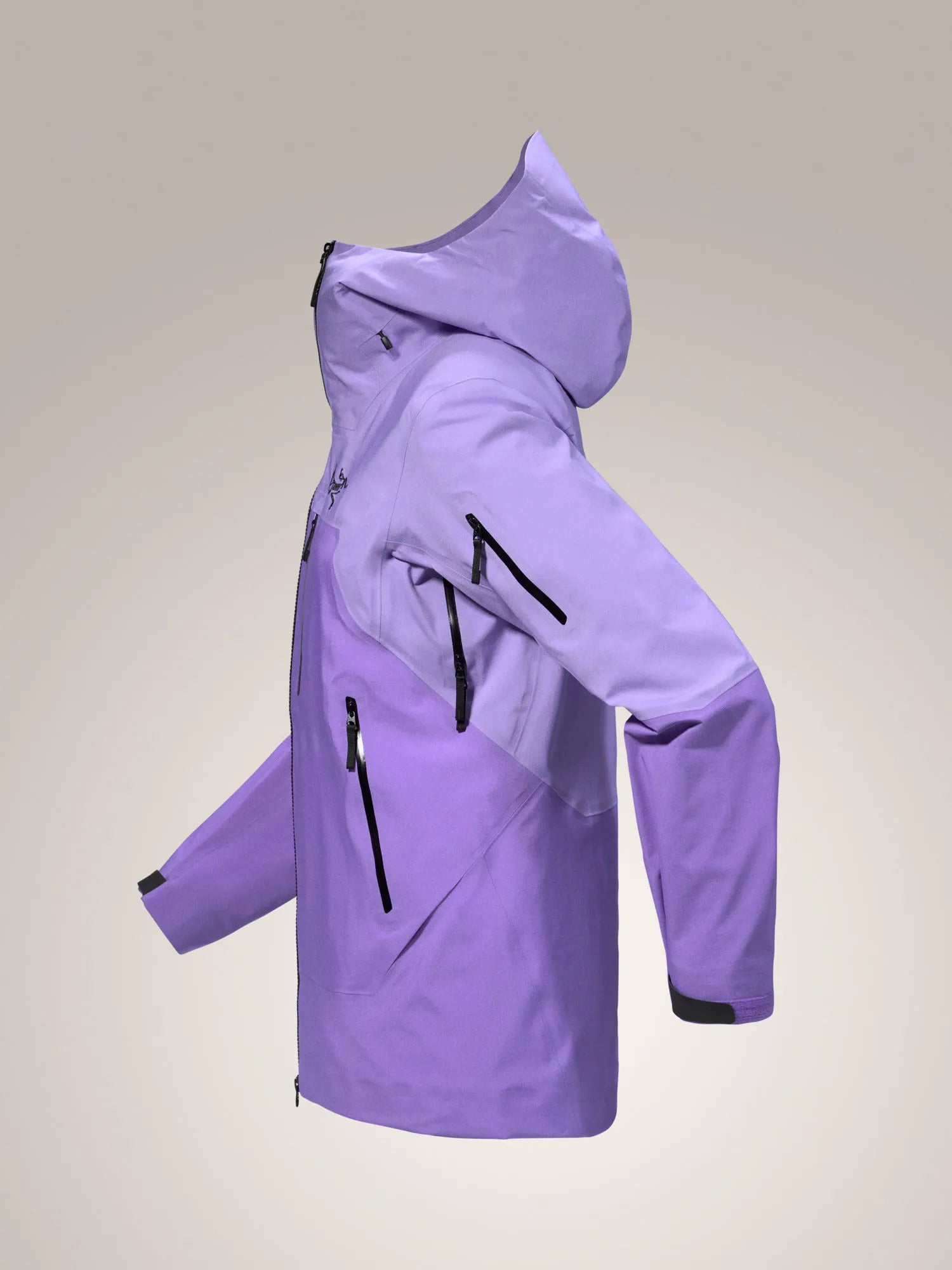 Aster / Black