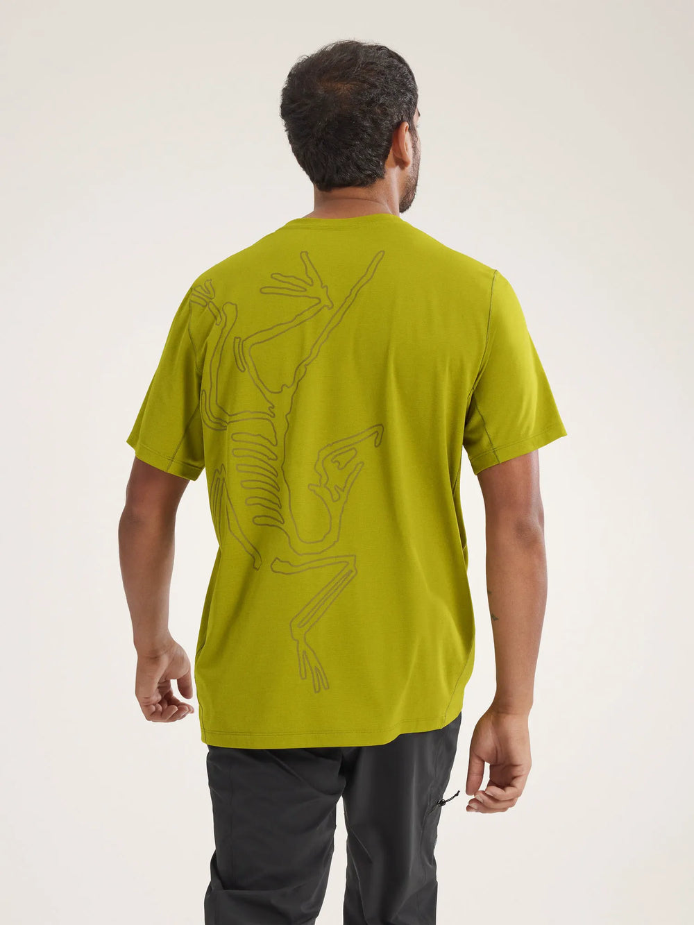 Olive Moss Heather / Tatsu