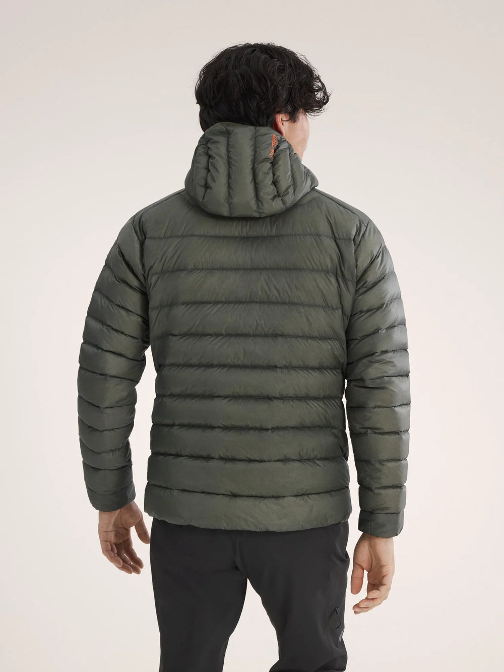 Forage / Verve